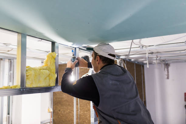 Best Commercial Insulation in Calverton Park, MO